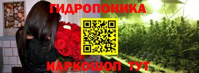 мдпв Дубна