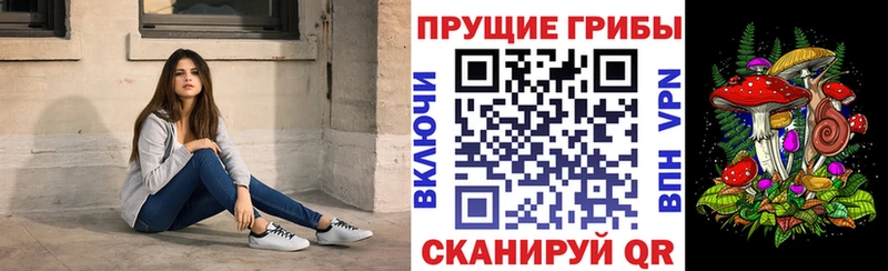 Псилоцибиновые грибы Magic Shrooms  где найти   Тосно 