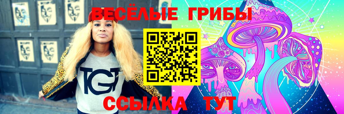 Псилоцибиновые грибы Psilocybe  Псилоцибиновые грибы GOLDEN TEACHER  где найти наркотики  Вход с VPN  Тосно 